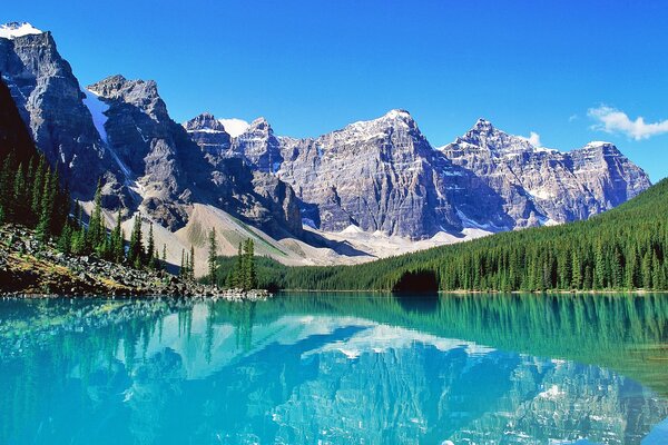 Du học IT tại Canada: Cân nhắc giữa đào tạo, ứng dụng và kế hoạch nghề nghiệp