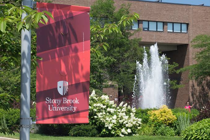Thế mạnh đào tạo và các lĩnh vực học tại Stony Brook University