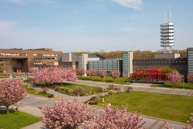 Tổng quan về Stony Brook University