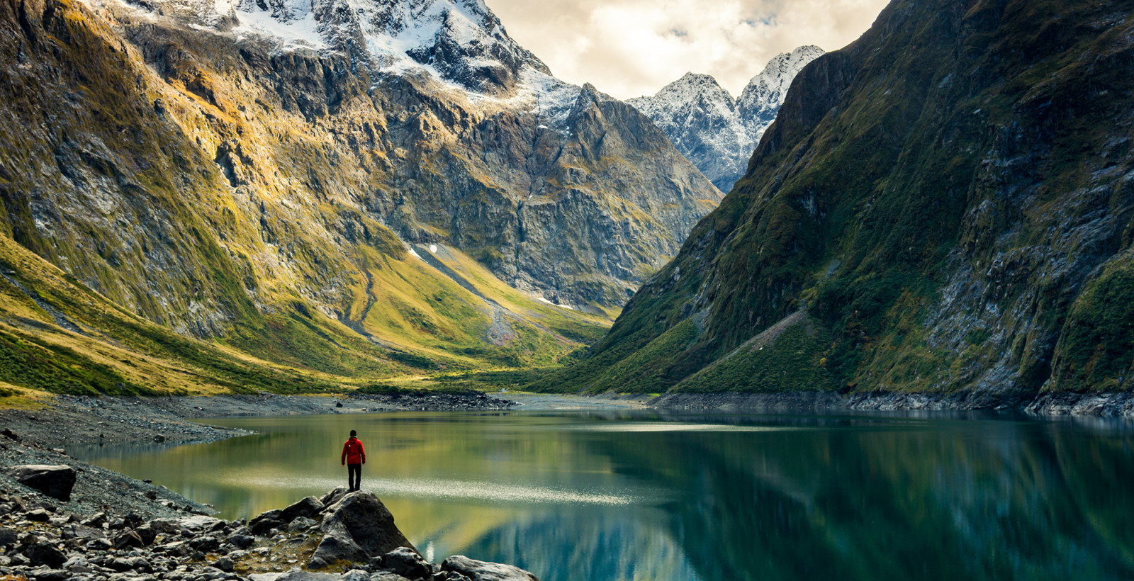 Du học New Zealand ngành giáo dục 2026: Điều kiện, chi phí và cơ hội nghề nghiệp