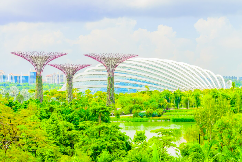 Học tại Singapore bao lâu thì tốt nghiệp đại học? MISSION EDU