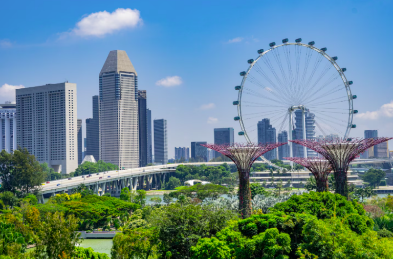Hồ sơ học sinh lớp 12 đi Singapore không cần IELTS  MISSION EDU