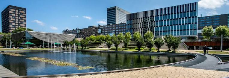 Review Erasmus University Rotterdam 2027: Học phí, ngành học và môi trường quốc tế _ MISION EDU